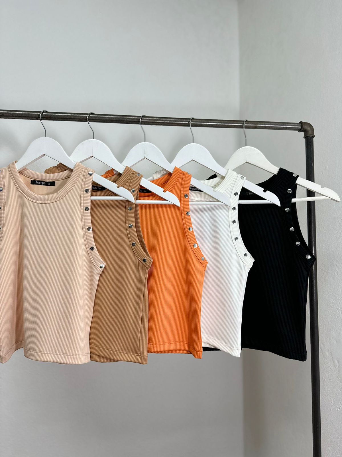Musculosa Mesoi