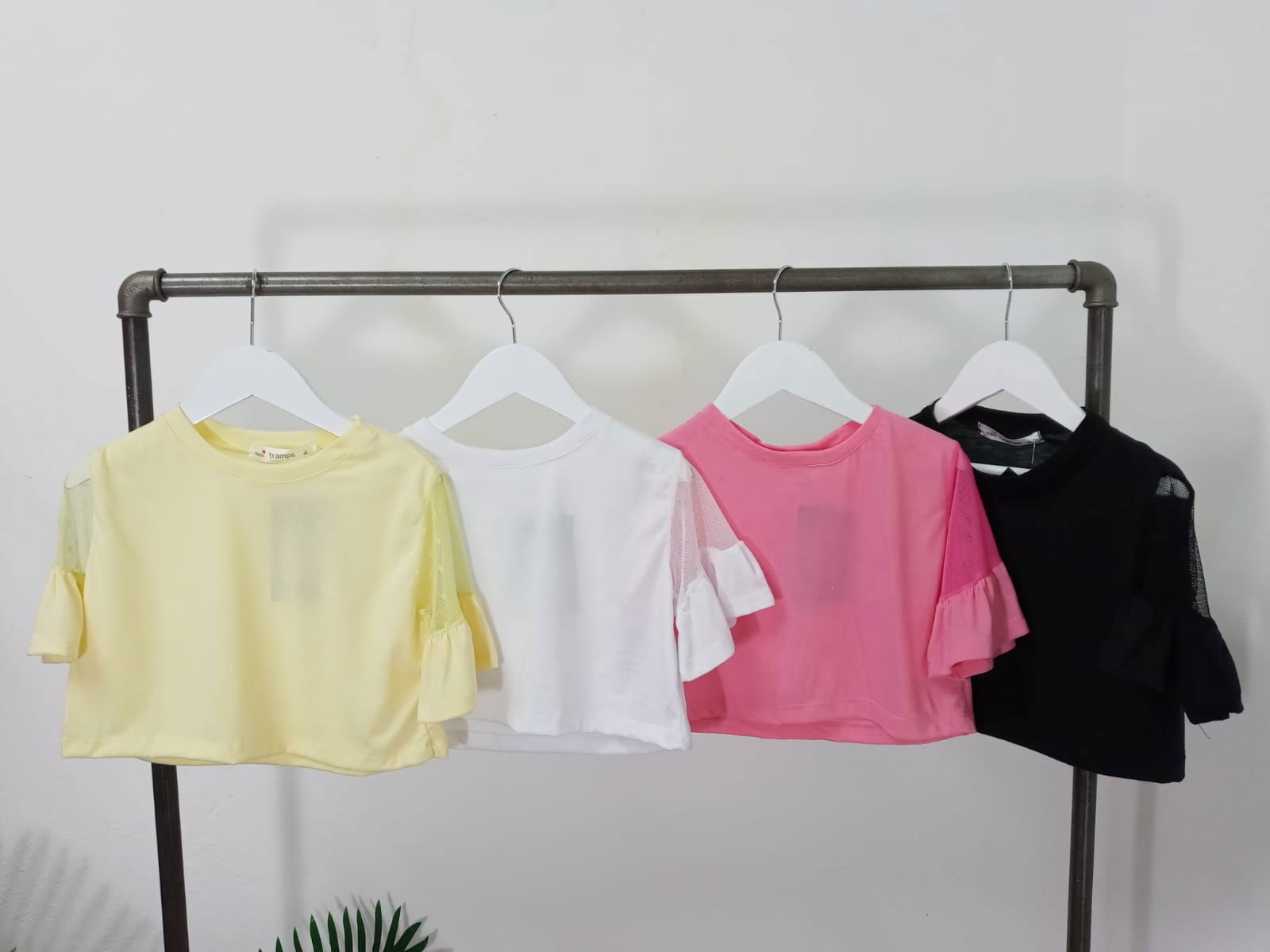 Remera Frutalito