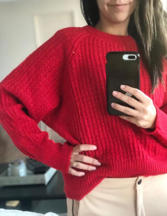 Sweater Pegaso